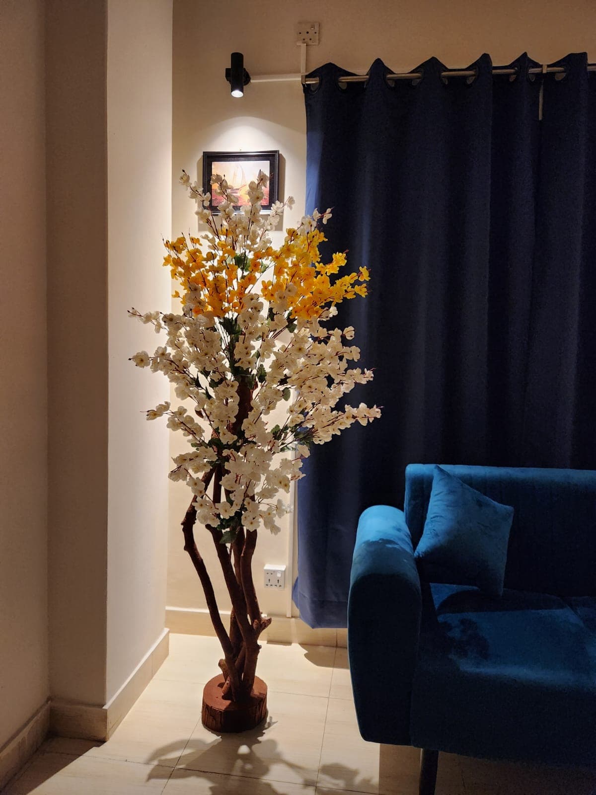 Gallery image 5