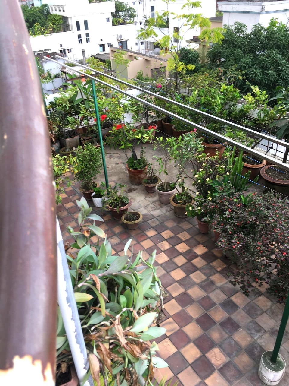 Gallery image 4