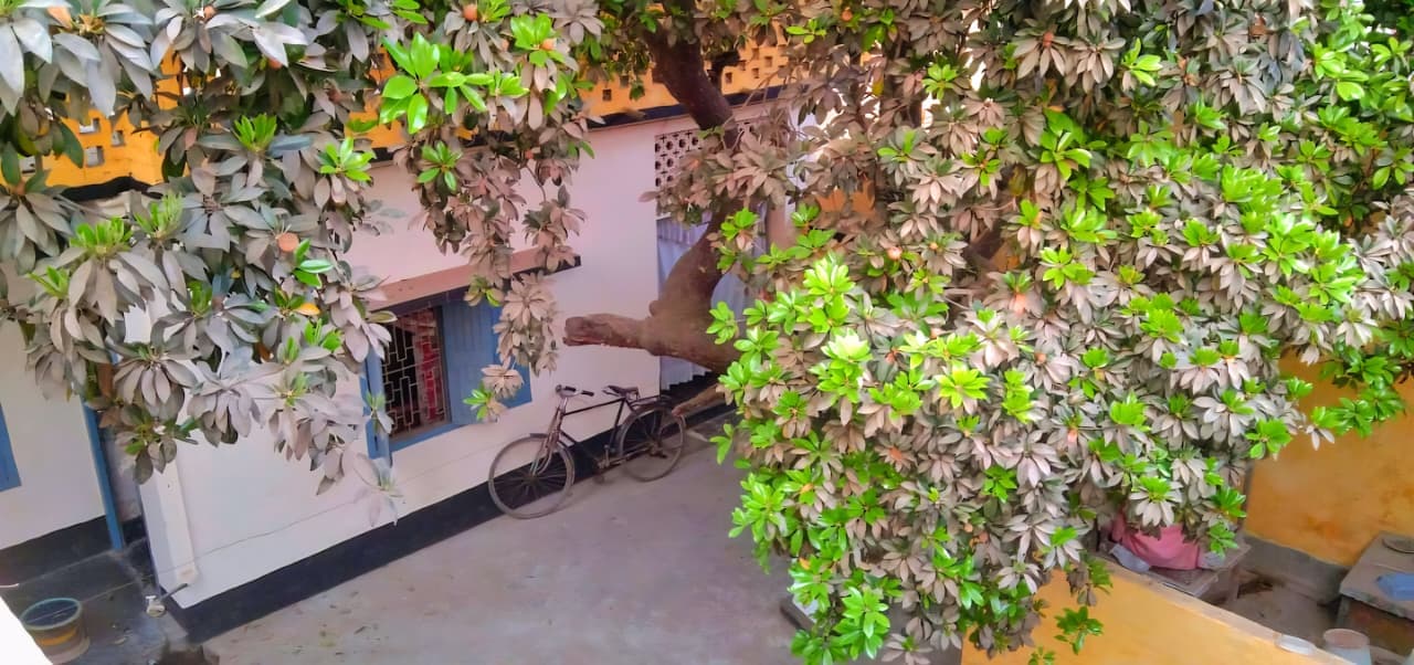 Gallery image 2