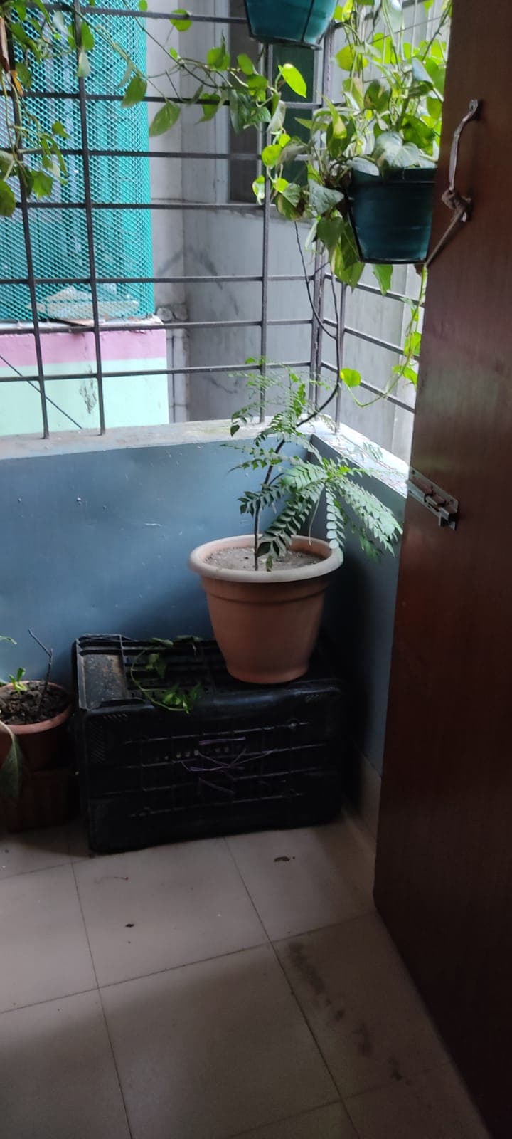 Gallery image 5