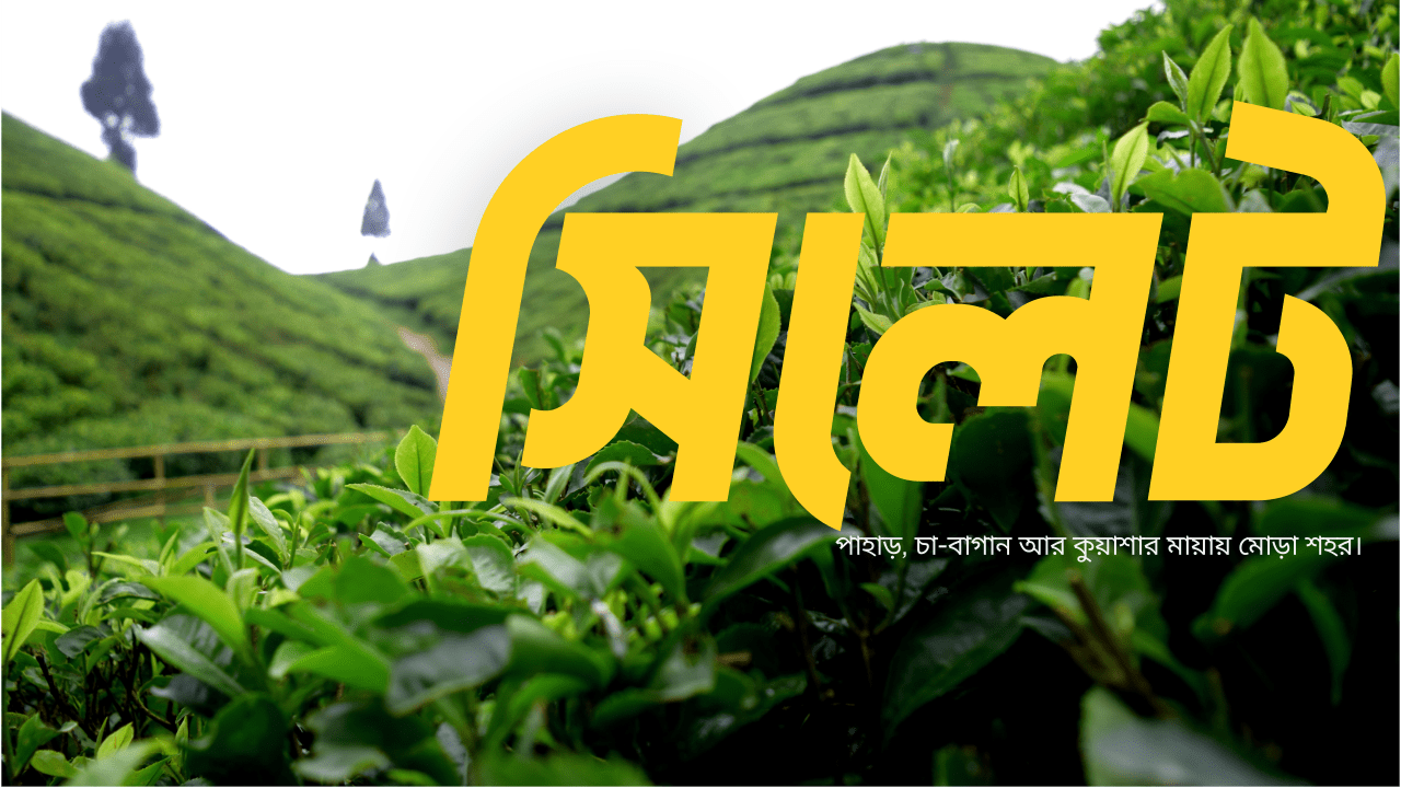 সিলেট: চা‑বাগান, পাহাড় আর প্রাকৃতিক সৌন্দর্যের শহর